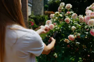 Gartenpflege leicht gemacht